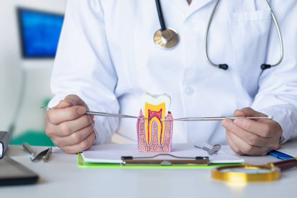 Best Emergency Tooth Extraction in Cashton, WI